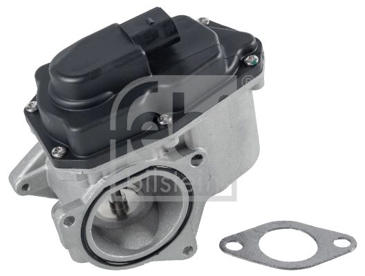 EGR Valve